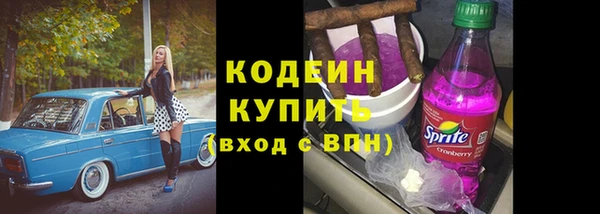 шишки Аркадак