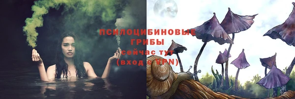 стаф Балахна