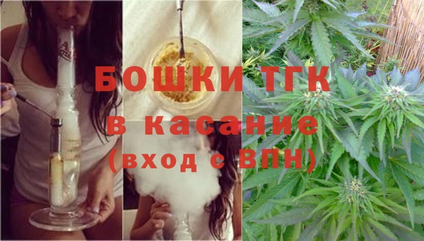 экстази Арсеньев