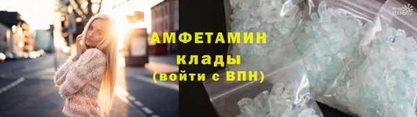 шишки Аркадак
