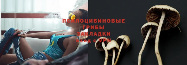 шишки Аркадак