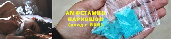 шишки Аркадак