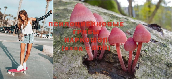 тгк Дмитриев